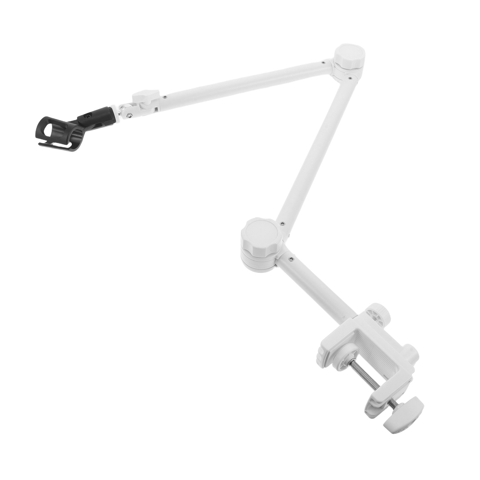 1 Set Braccio per Microfono Bi - Desk Setup Gaming recensione e prezzo